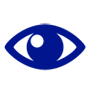 1-vision